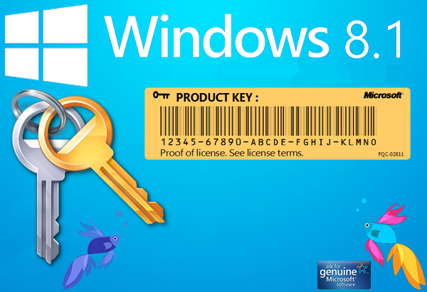 Clave de producto, Windows, id Windows, sistema operativo, 