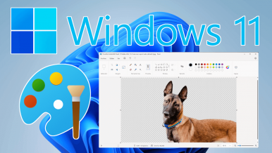 Cómo eliminar el fondo de una imagen con Microsoft Paint en Windows 11 con un solo clic.