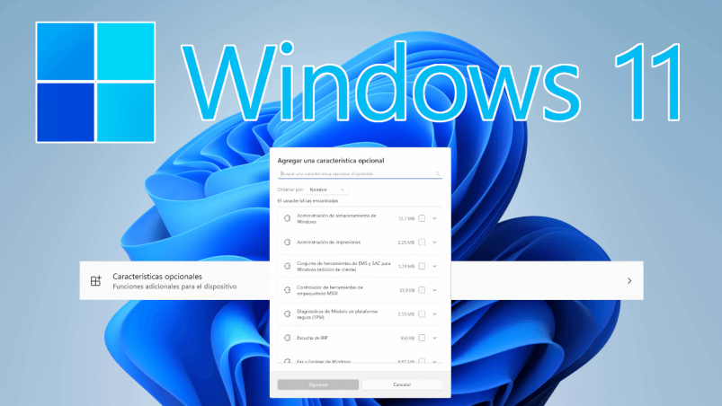 Cómo instalar o desinstalar características opcionales en Windows 11