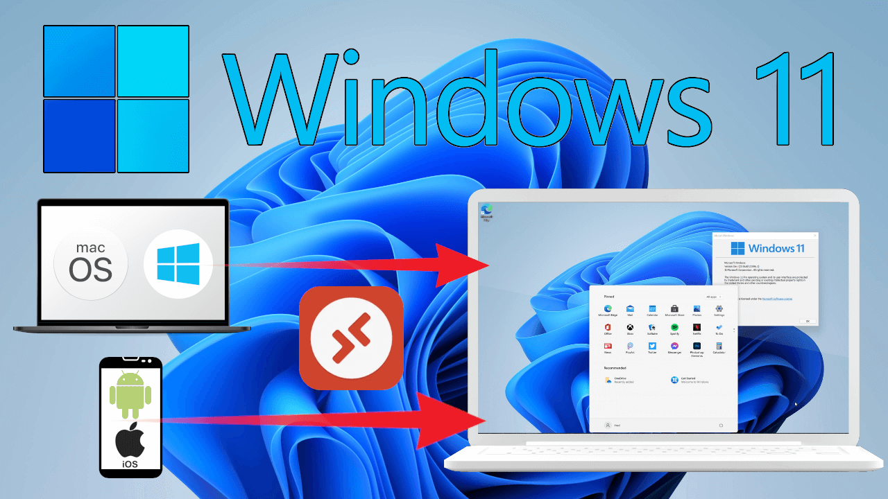 Llevar riega la flor cobre Como activar y usar el Escritorio remoto de Windows 11