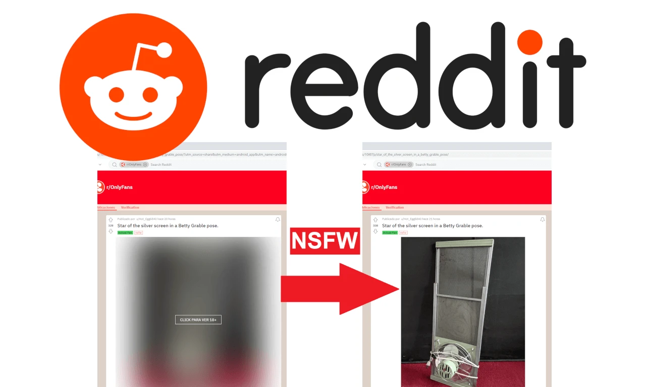 Como Habilitar Conteúdo Adulto no Reddit para as Fotos Não Aparecerem  Borradas