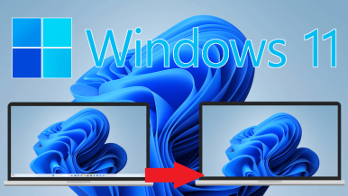 Cómo ocultar la barra de tareas en Windows 11 automáticamente