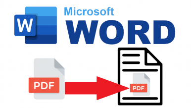 Como insertar un archivo PDF en un documento de Word