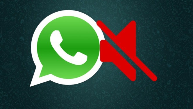 Grupos de Whatsapp como silenciar los de tu smartphone