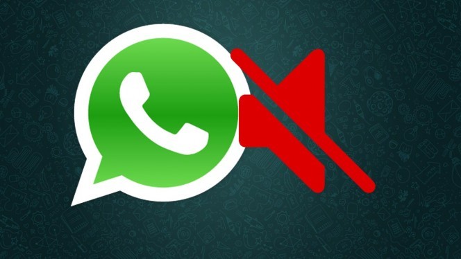 Grupos de Whatsapp como silenciar los de tu smartphone
