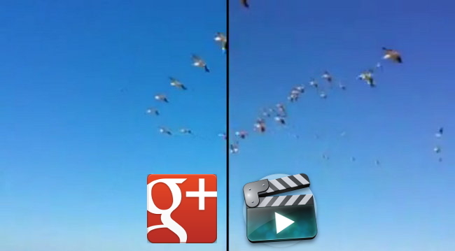 google + video redes sociales, google plus