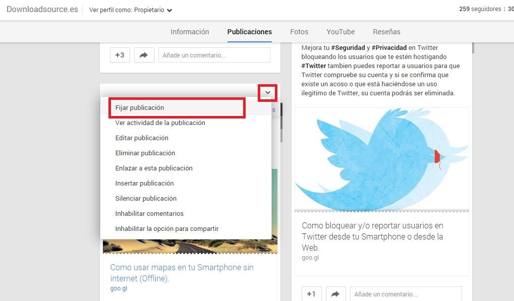 twitter fijar Tweet, timeline