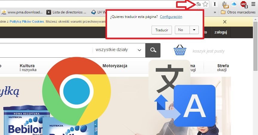 Mensaje de traducción de sitios Web en Google Chrome