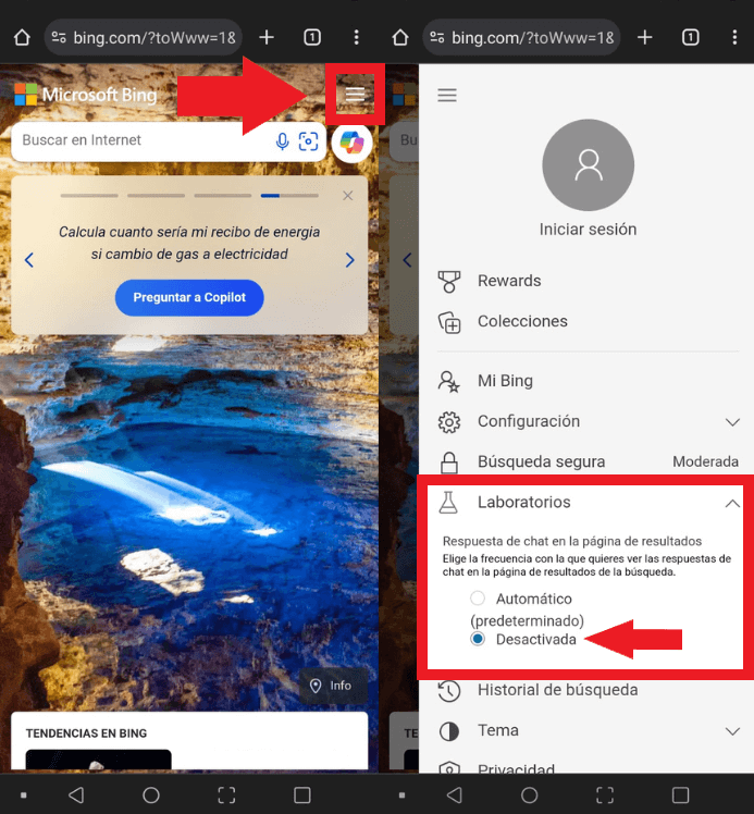como desactivar las sugerencias de copilot en bing windows 11