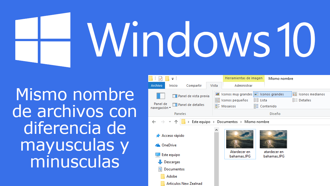 mismos nombres en varios archivos y carpetas