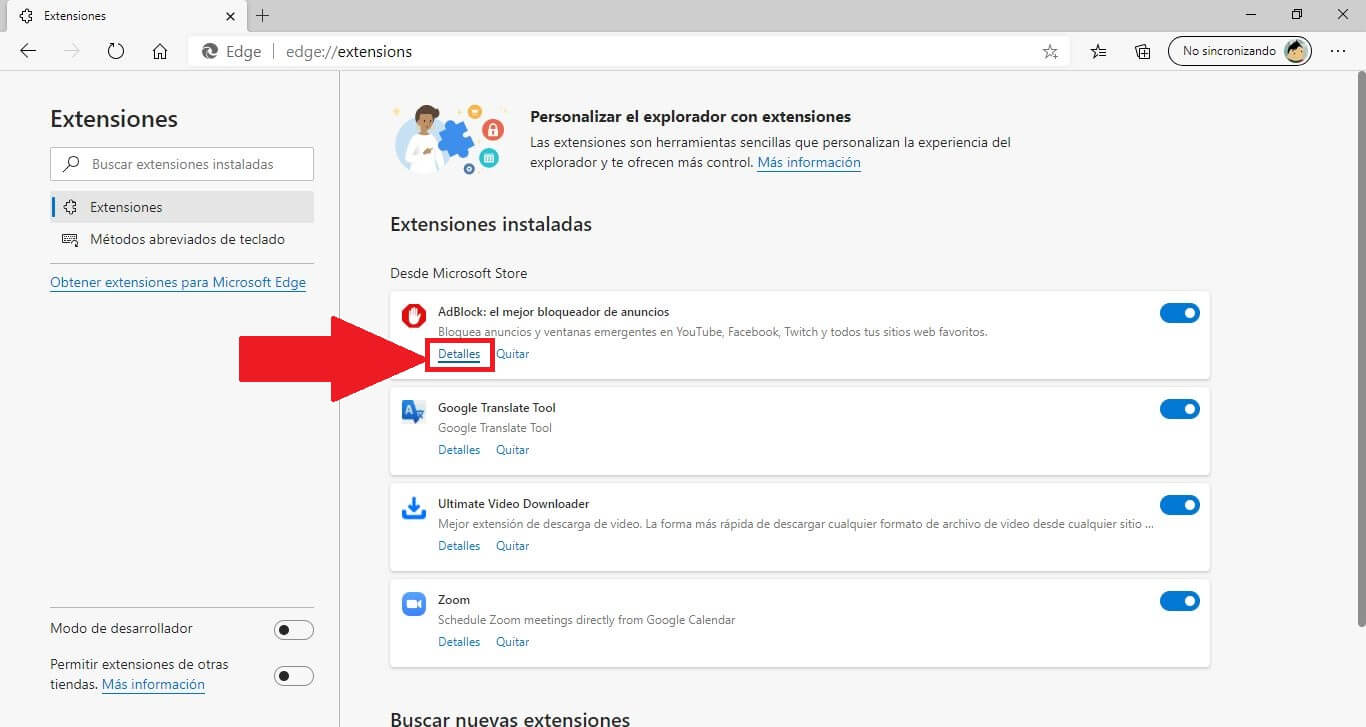 activar las extensiones en el navegador Web Microsoft edge