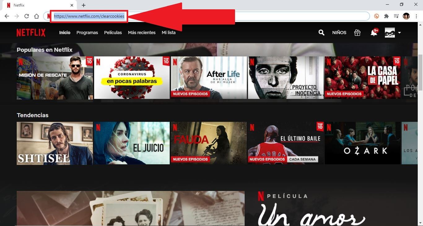 como borrar todas las cookies de netflix con una url