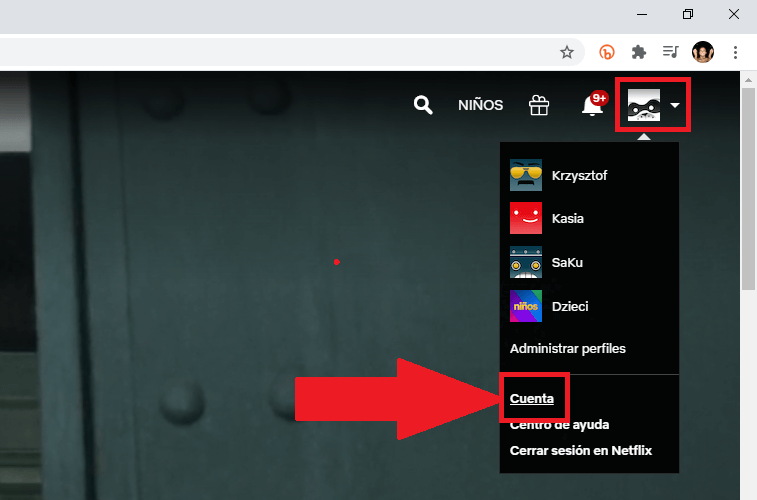 restablecer la contraseña de netflix