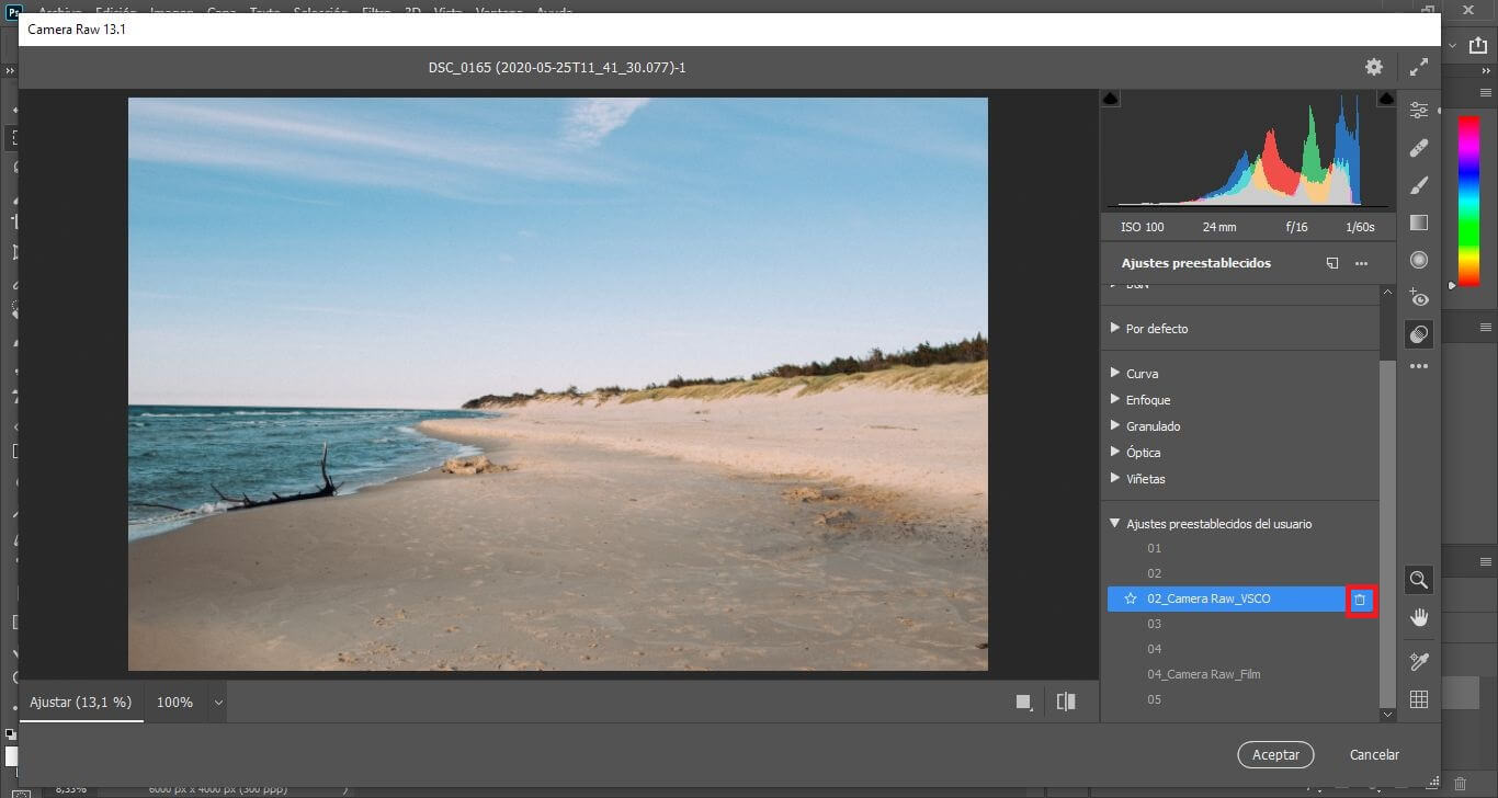 instalar filtros en camera raw 13