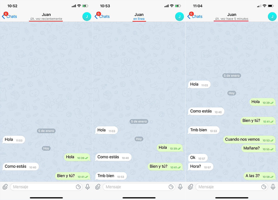 como dejar de mostrar la ultima vez que te conectaste en un chat de telegram