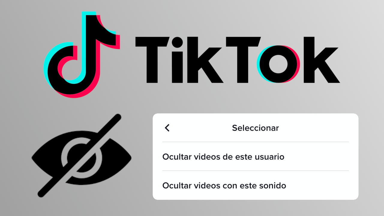 como ocultar videos de un usuario de TikTok