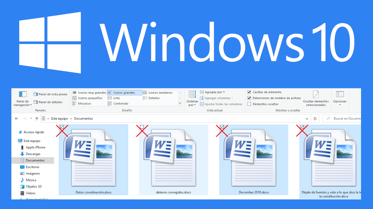 desactivar los recuadros de iconos al seleccionar los archivos desde el explorador de archivos de Windows 10