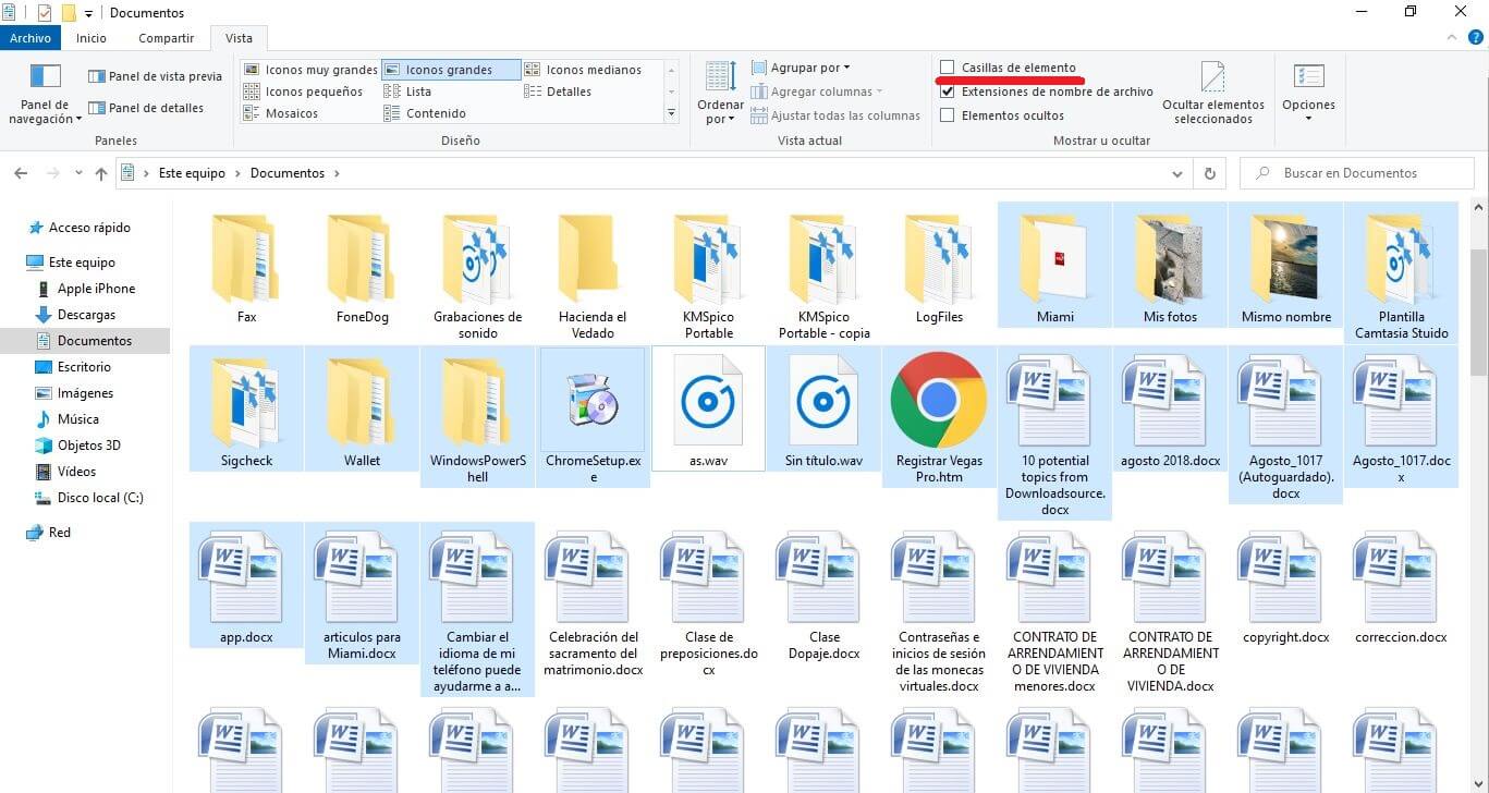 no quiero que se vean los recuadros sobre los iconos de archivos al seleccionarlos en el explorador de Windows 10