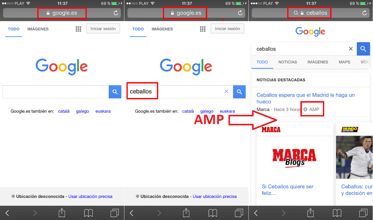 dejar de recibir resultados AMP en la búsqueda de Google