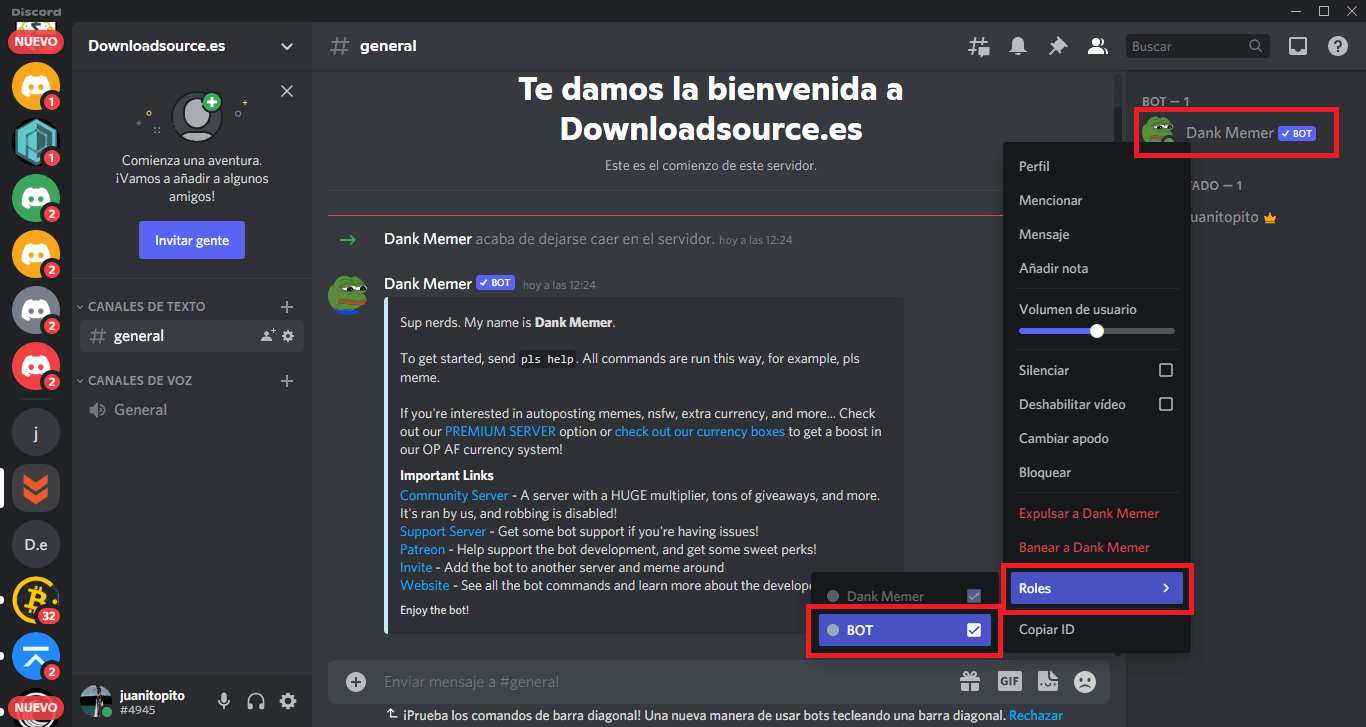 como usar un bot en discord