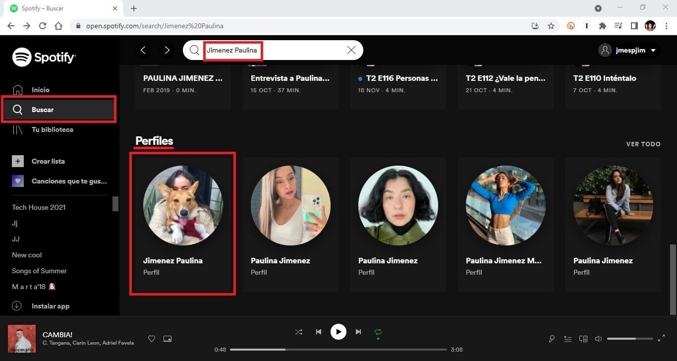 bloquear perfil en spotify