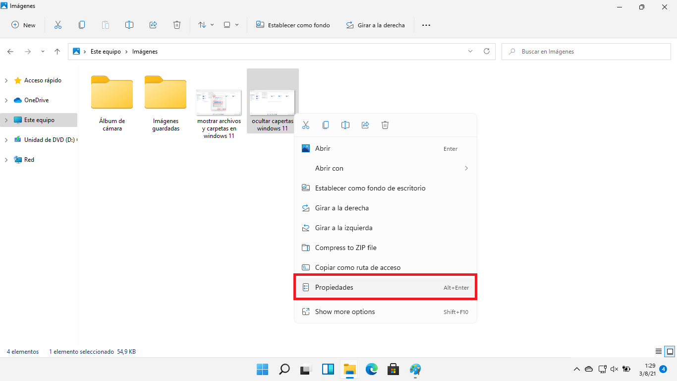 windows 11 permite mostrar u ocultar los archivos ocultos 