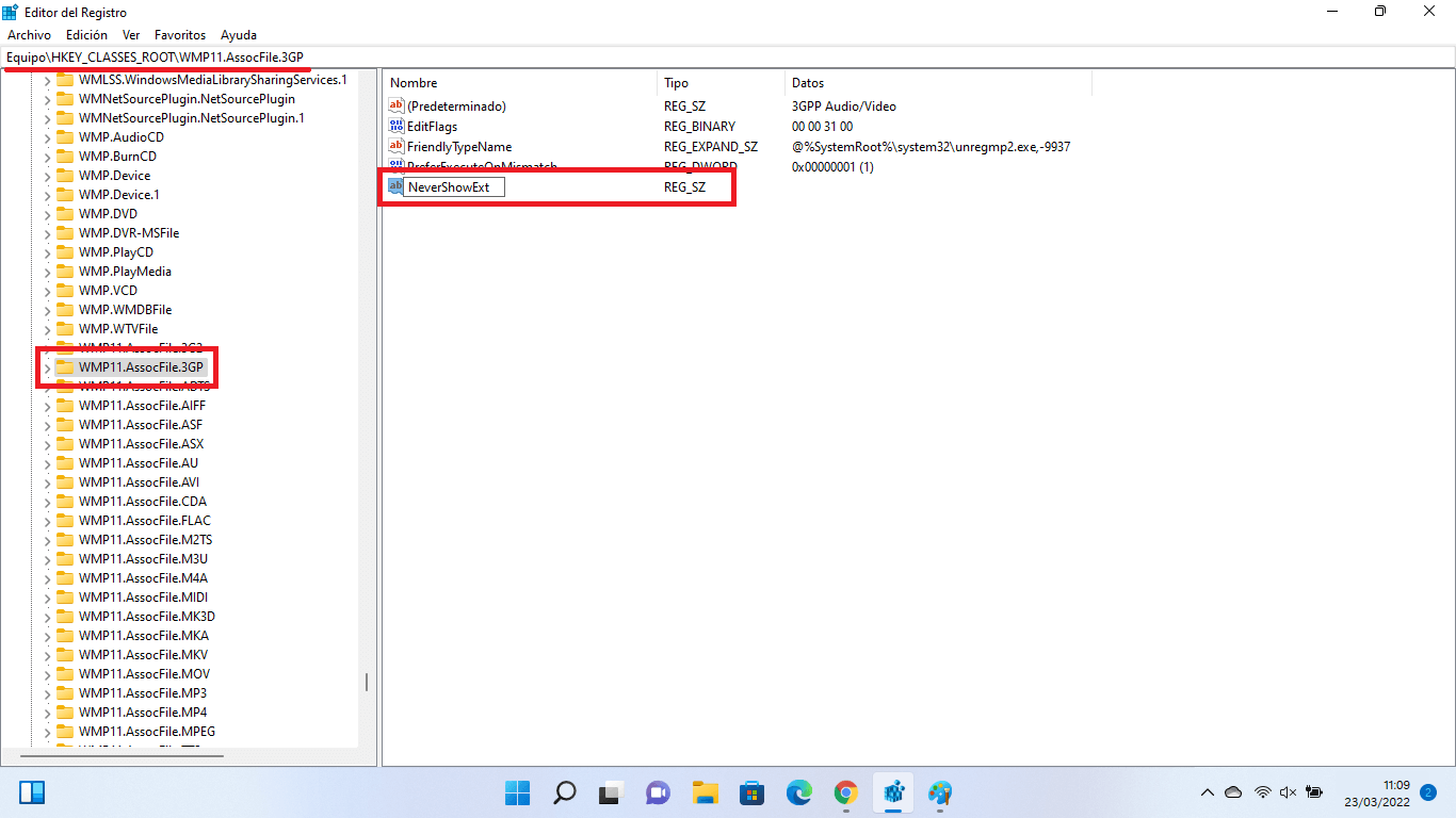 ocultar solo un tipo especifico de archivos en windows 11