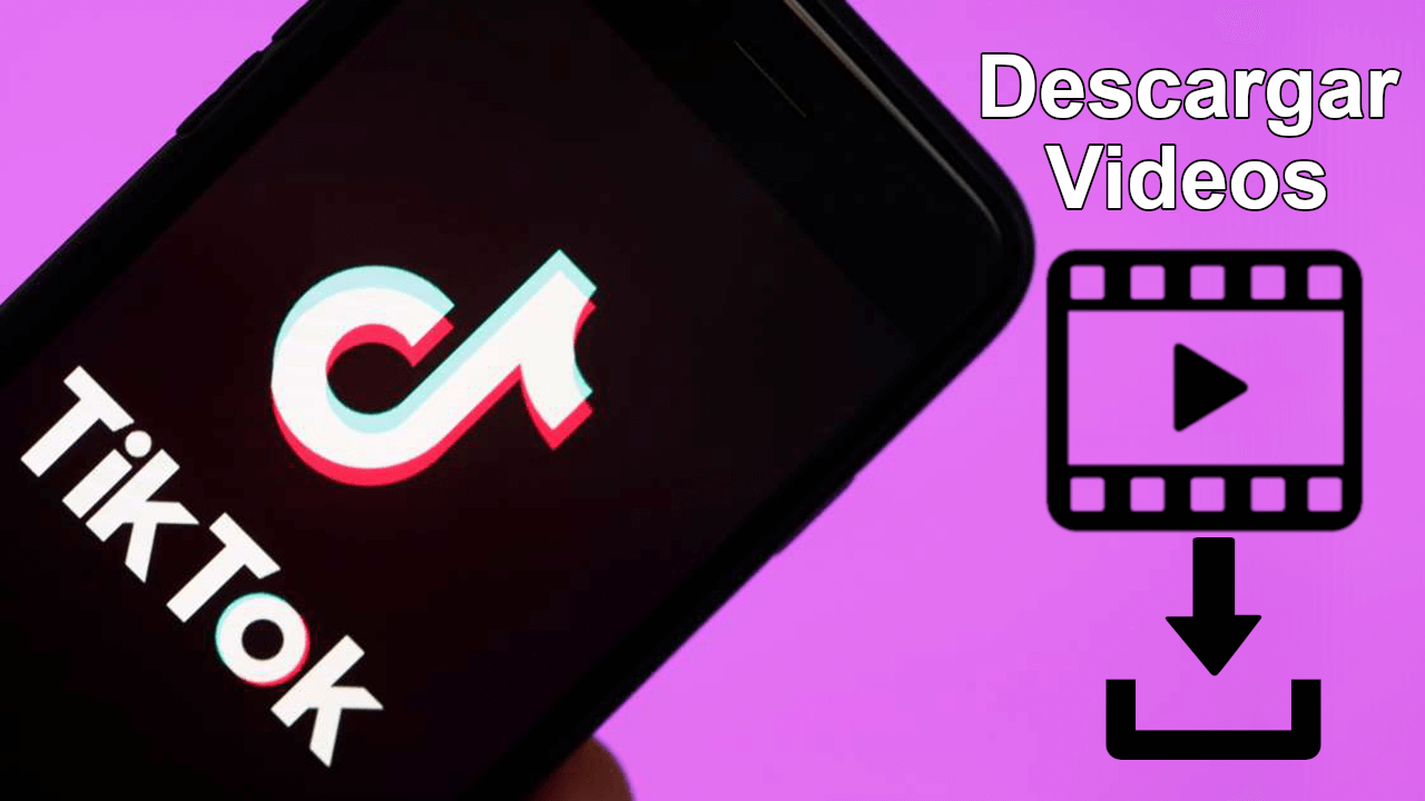 como descargar cualquier video de Tik Tok