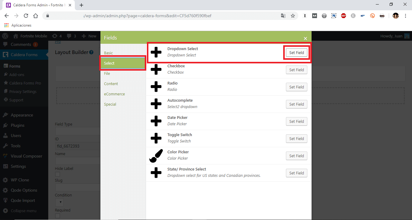 Crear un formulario condicional y lógico de opciones en Wordpress