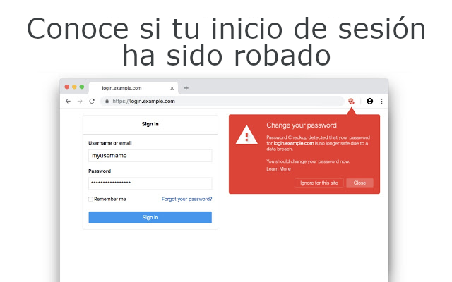 identificar la contraseña de usuario que ha sido robada