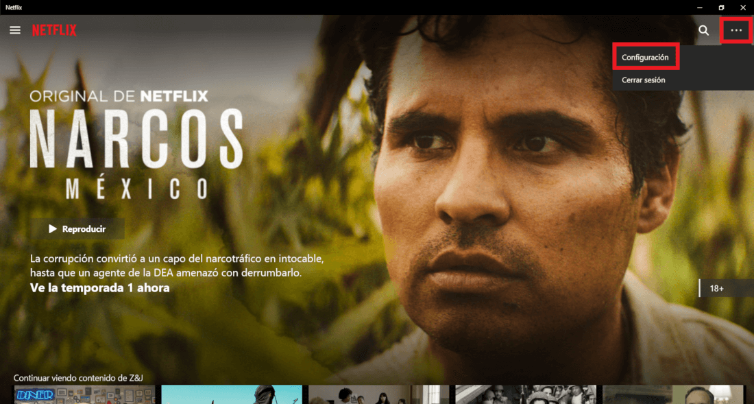 reproducir peliculas descargadas de netflix en tu ordenador