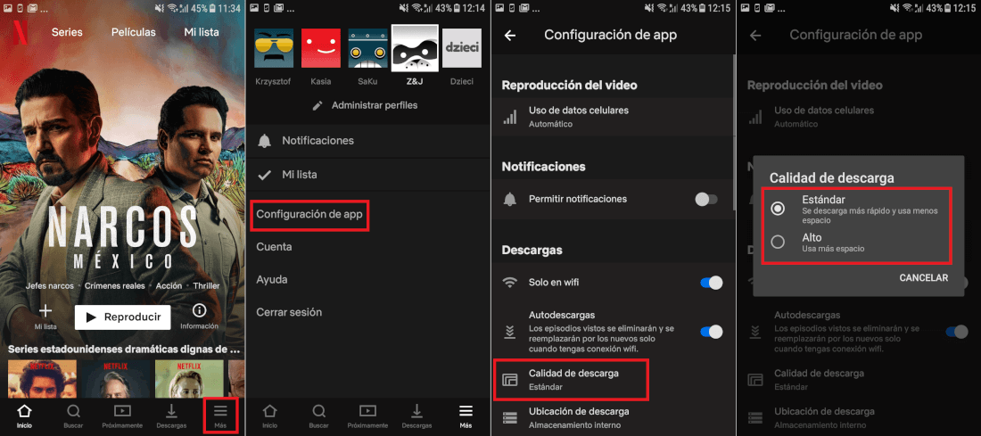 ver las peliculas y series de Netflix en tu telefono movil sin conexion a internet