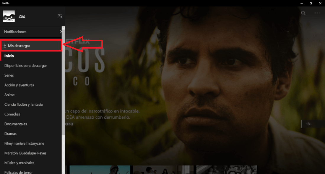 como descargar y visualizar pelis y series de Netflix offline