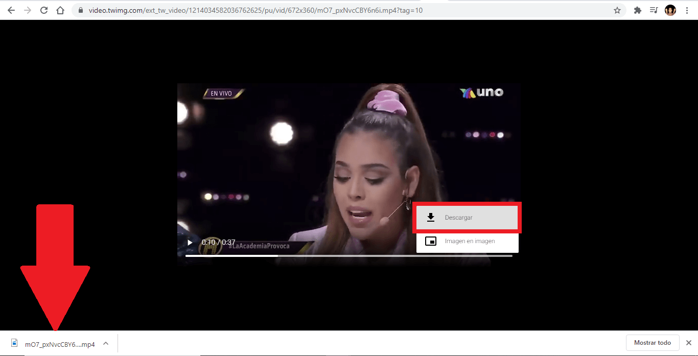 descargar un video de twitter en MP4