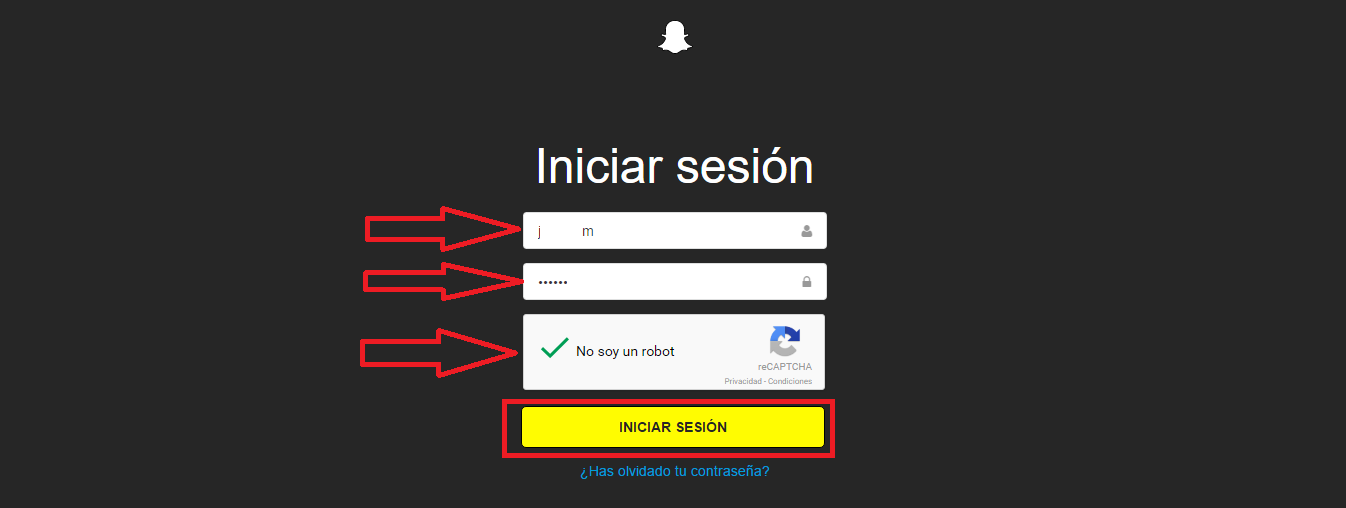 borrar tu cuenta de snapchat desde tu ordenador