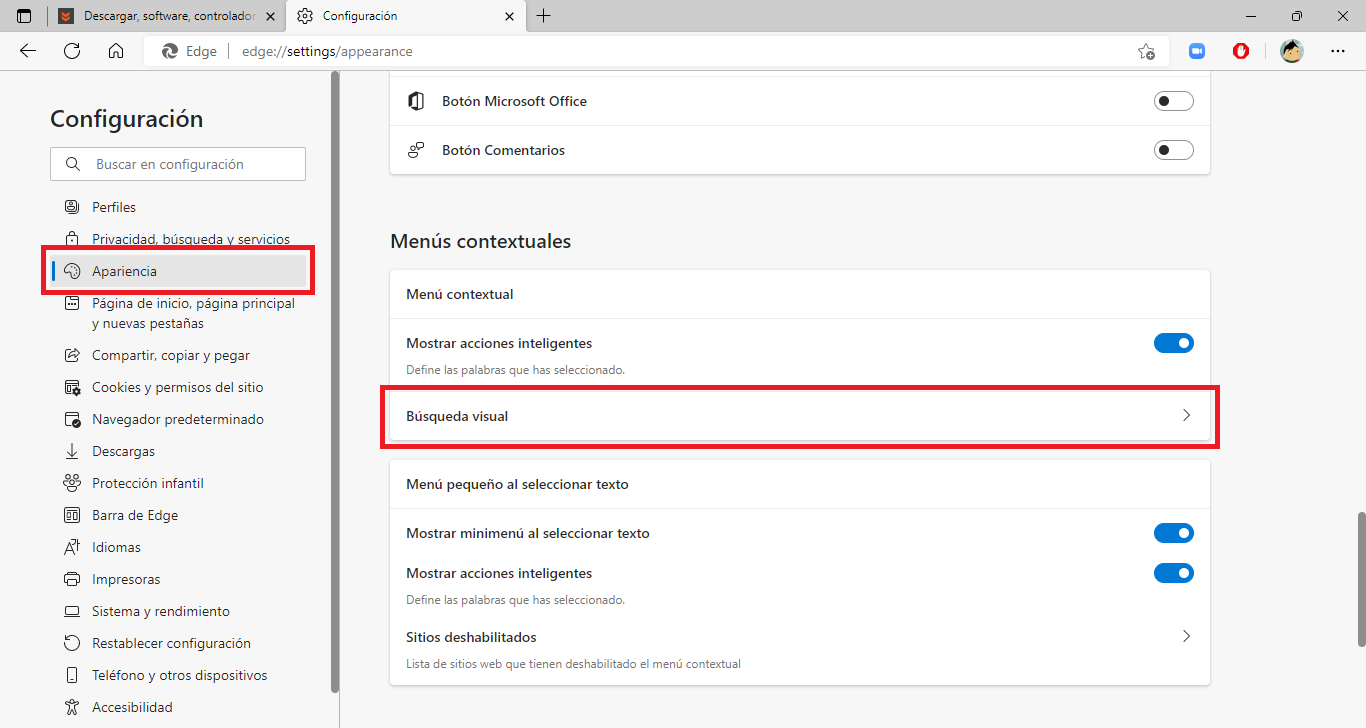deshabilitar la búsqueda visual de Microsoft Edge
