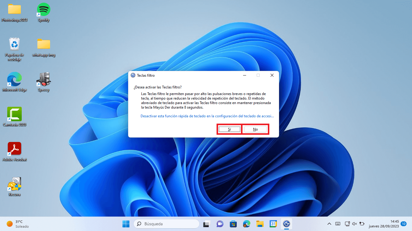 como activar o desactivar la funcion filtros de teclas de windows 11