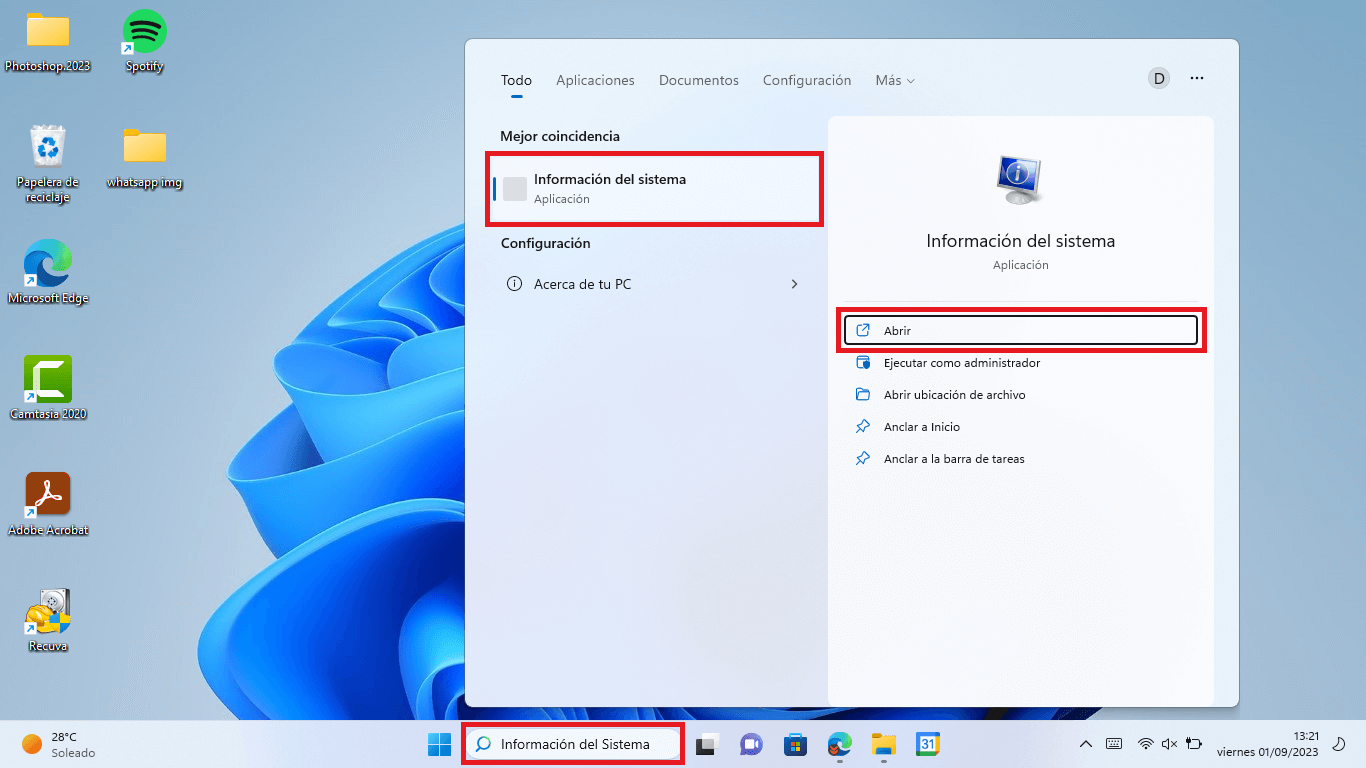 que tipo de monitor tengo en Windows 11