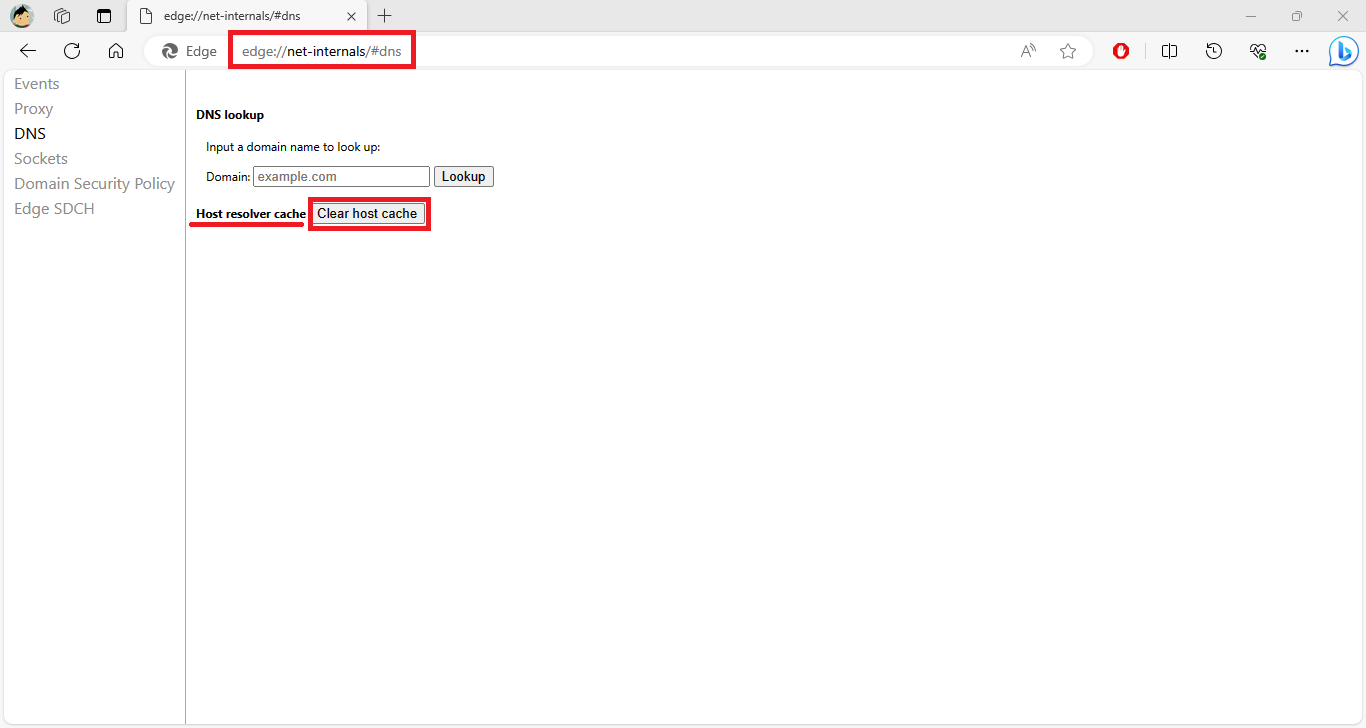 como borrar el host dns cache en el navegador Web Microsoft Edge